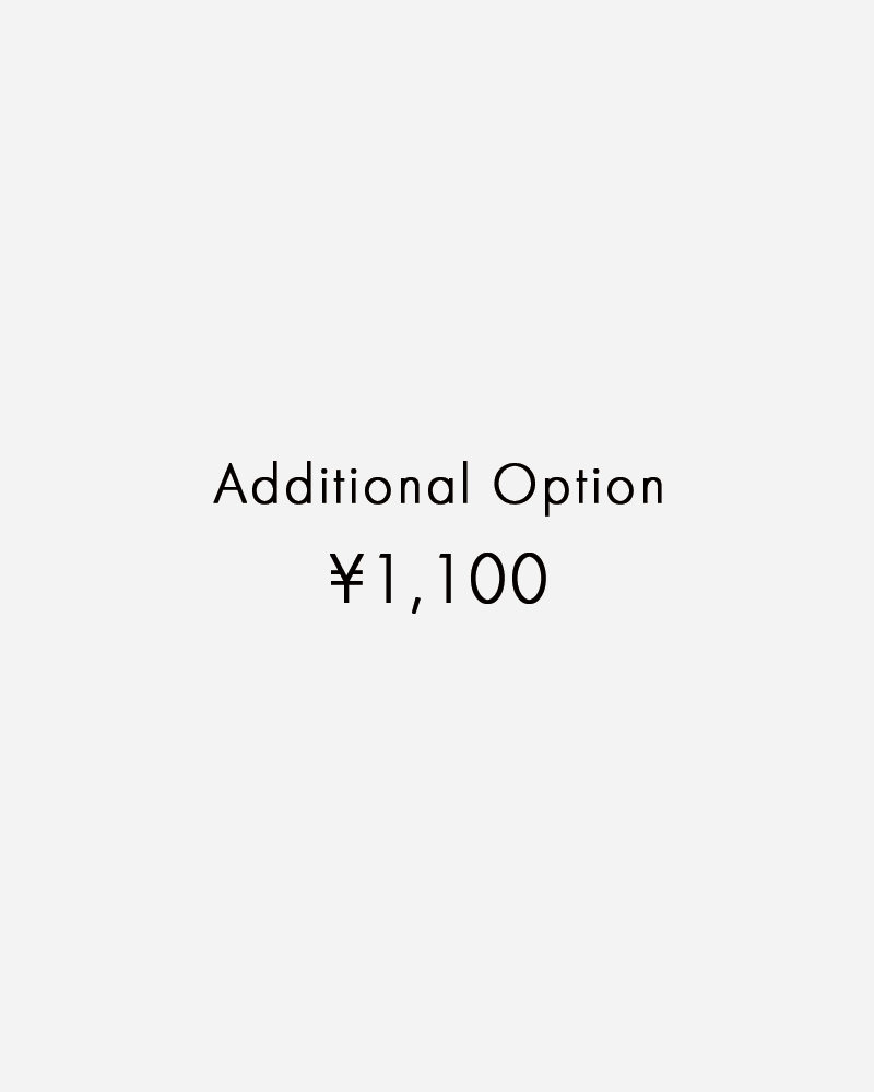 Additional Option(追加オプション¥1,100)