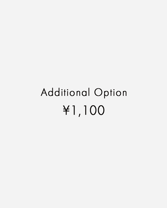 Additional Option(追加オプション¥1,100)