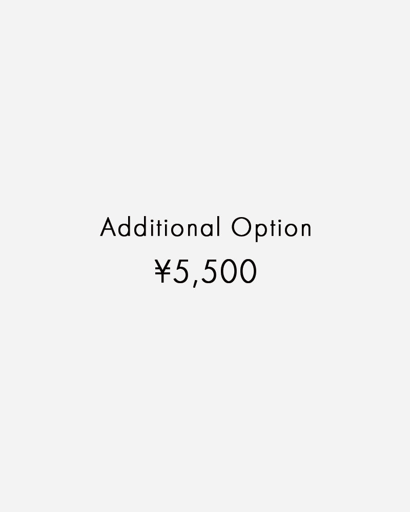 Additional Option (追加オプション¥5,500)