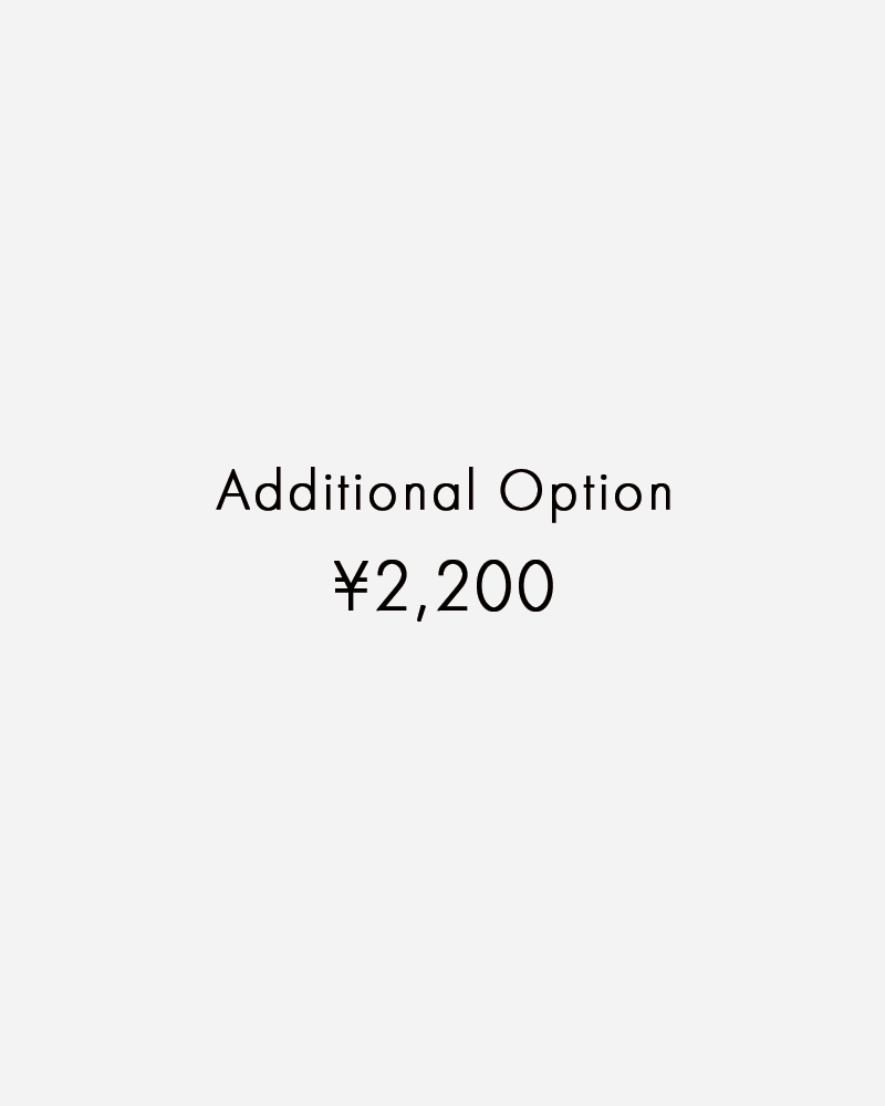 Additional Option (追加オプション¥2,200)
