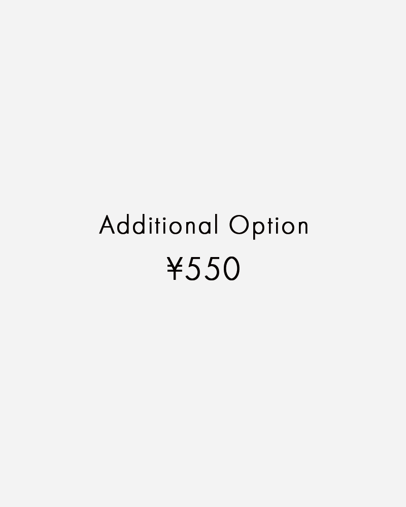 Additional Option （追加オプション￥550）