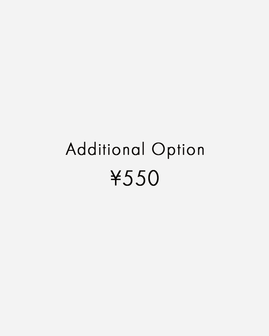 Additional Option （追加オプション￥550）
