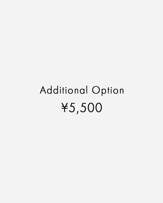 Additional Option （追加オプション￥5,500）