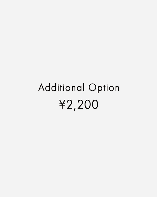 Additional Option （追加オプション￥2,200）